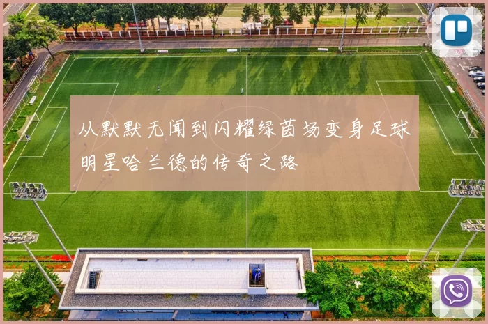 从默默无闻到闪耀绿茵场变身足球明星哈兰德的传奇之路