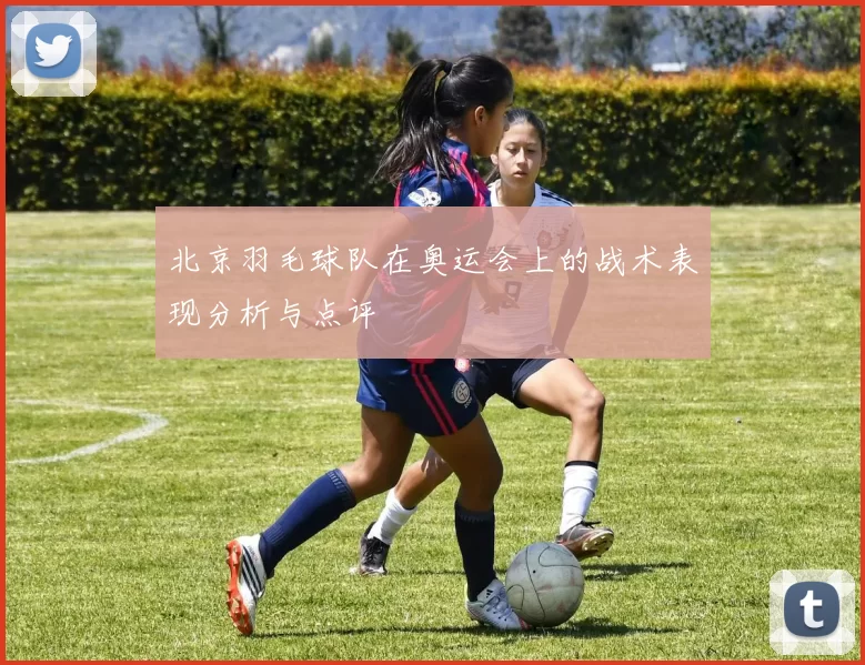 北京羽毛球队在奥运会上的战术表现分析与点评