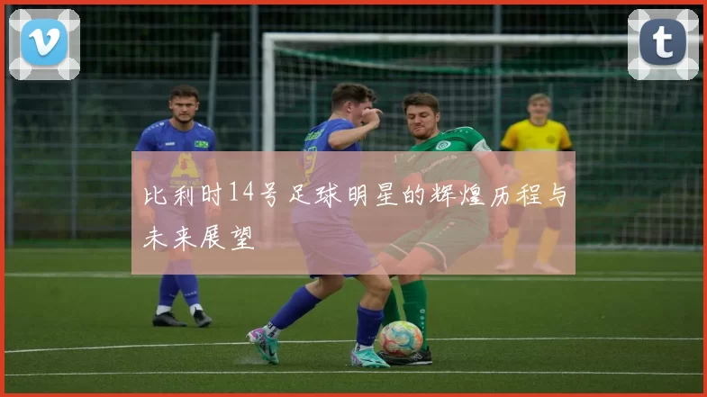 比利时14号足球明星的辉煌历程与未来展望