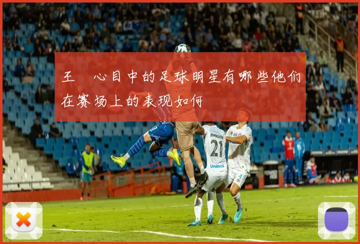 王濛心目中的足球明星有哪些他们在赛场上的表现如何