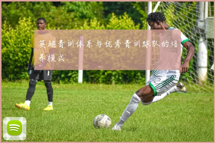 英超青训体系与优秀青训球队的培养模式