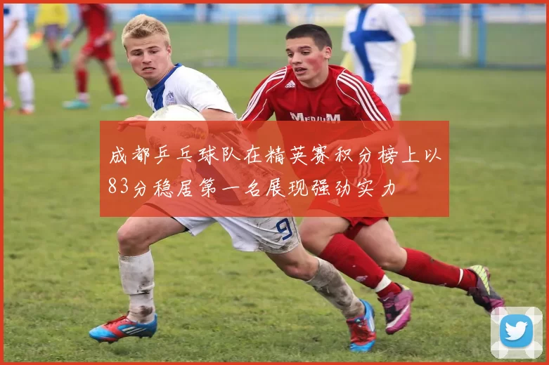 成都乒乓球队在精英赛积分榜上以83分稳居第一名展现强劲实力